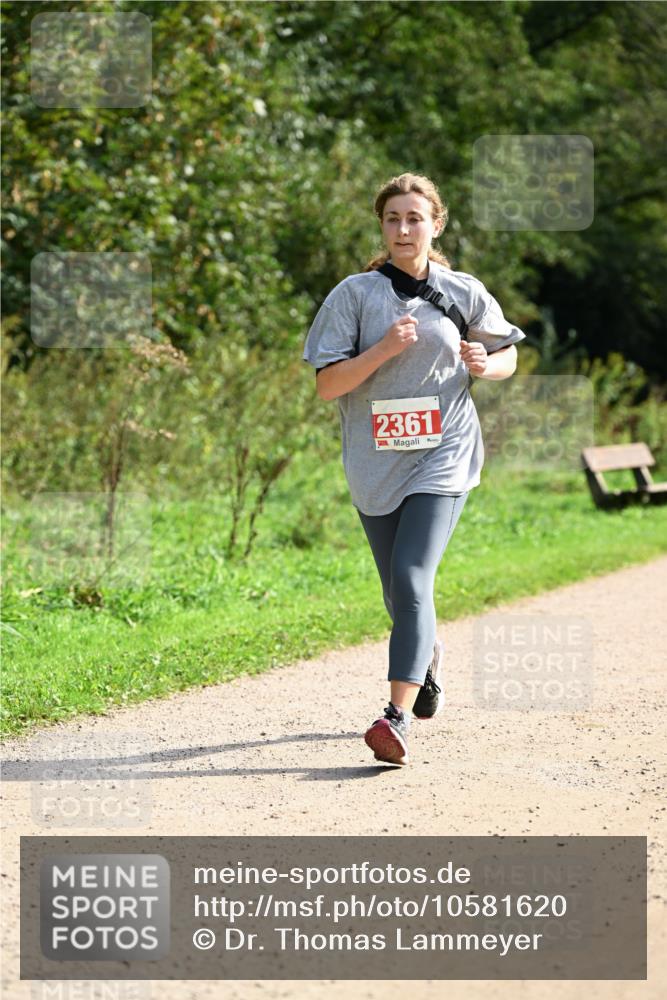 27.09.2026 - 35. Volkslauf durch das schöne Alstertal Dr. Thomas Lammeyer http://msf.ph/oto/10581620 27.09.2026 12:27:00 Laufen 2361 meine-sportfotos.de