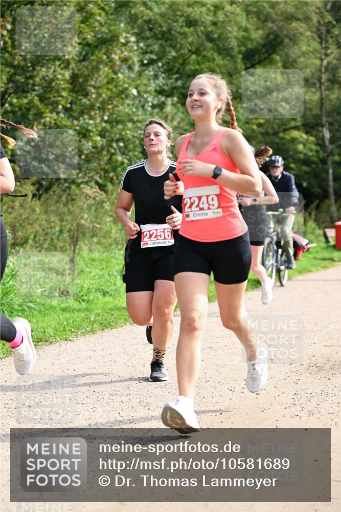 27.09.2026 - 35. Volkslauf durch das schöne Alstertal Dr. Thomas Lammeyer http://msf.ph/oto/10581689 27.09.2026 12:27:51 Laufen 2256, 2249 meine-sportfotos.de
