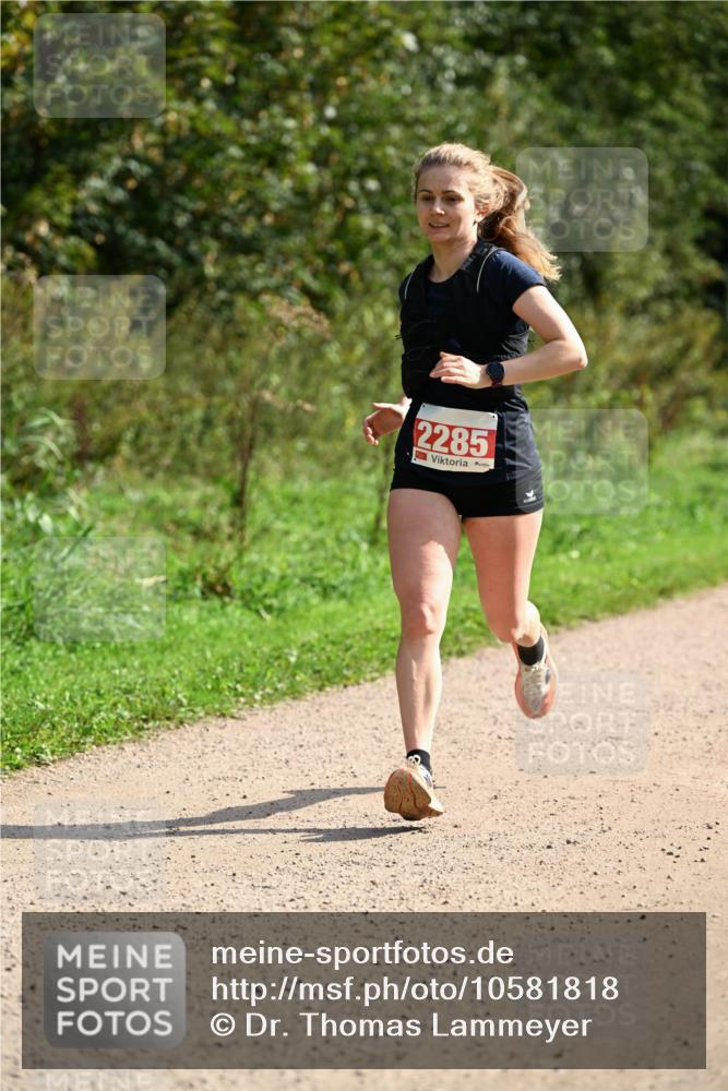 27.09.2026 - 35. Volkslauf durch das schöne Alstertal Dr. Thomas Lammeyer http://msf.ph/oto/10581818 27.09.2026 12:28:47 Laufen 2285 meine-sportfotos.de
