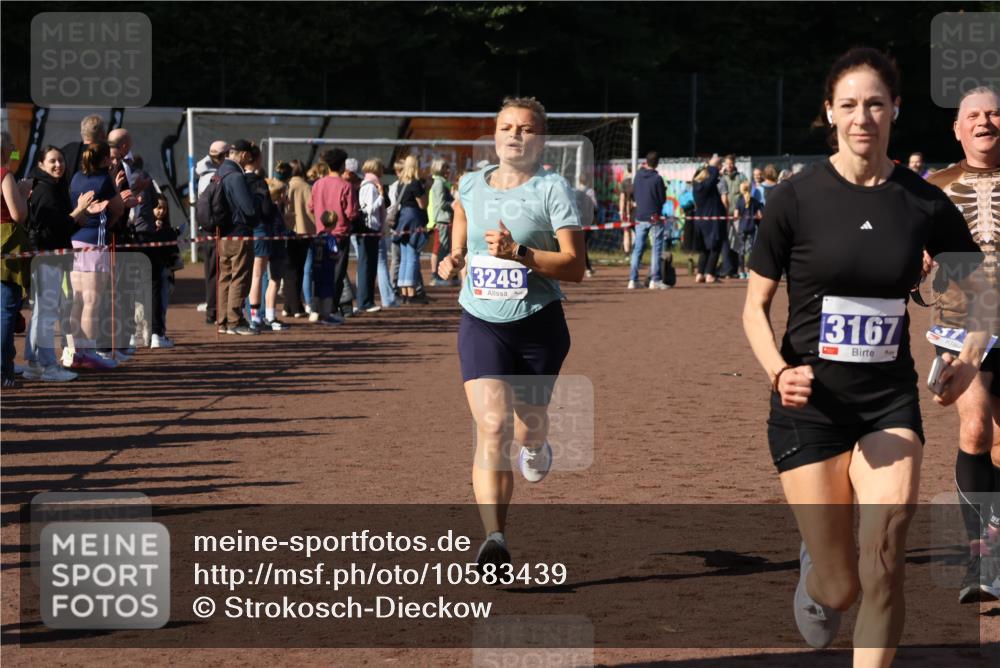 27.09.2026 - 35. Volkslauf durch das schöne Alstertal Strokosch-Dieckow http://msf.ph/oto/10583439 27.09.2026 11:25:44 Ziel 3118, 3167, 3249 meine-sportfotos.de