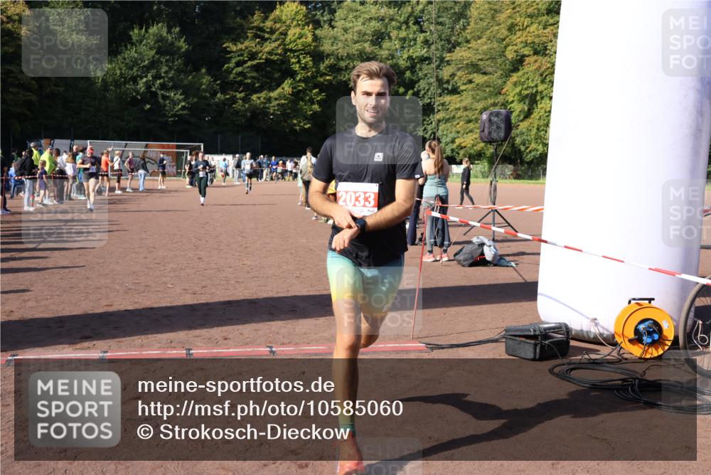 27.09.2026 - 35. Volkslauf durch das schöne Alstertal Strokosch-Dieckow http://msf.ph/oto/10585060 27.09.2026 11:49:53 Ziel 2033, 2422, 3156, 3223, 3238 meine-sportfotos.de