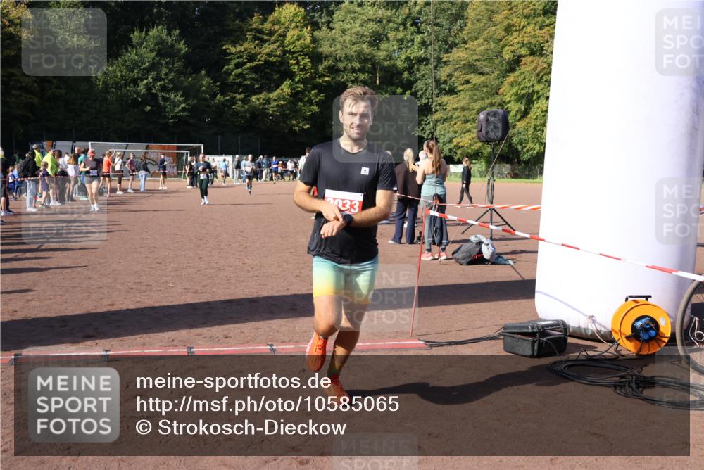 27.09.2026 - 35. Volkslauf durch das schöne Alstertal Strokosch-Dieckow http://msf.ph/oto/10585065 27.09.2026 11:49:53 Ziel 2033, 2422, 3156, 3223, 3238 meine-sportfotos.de