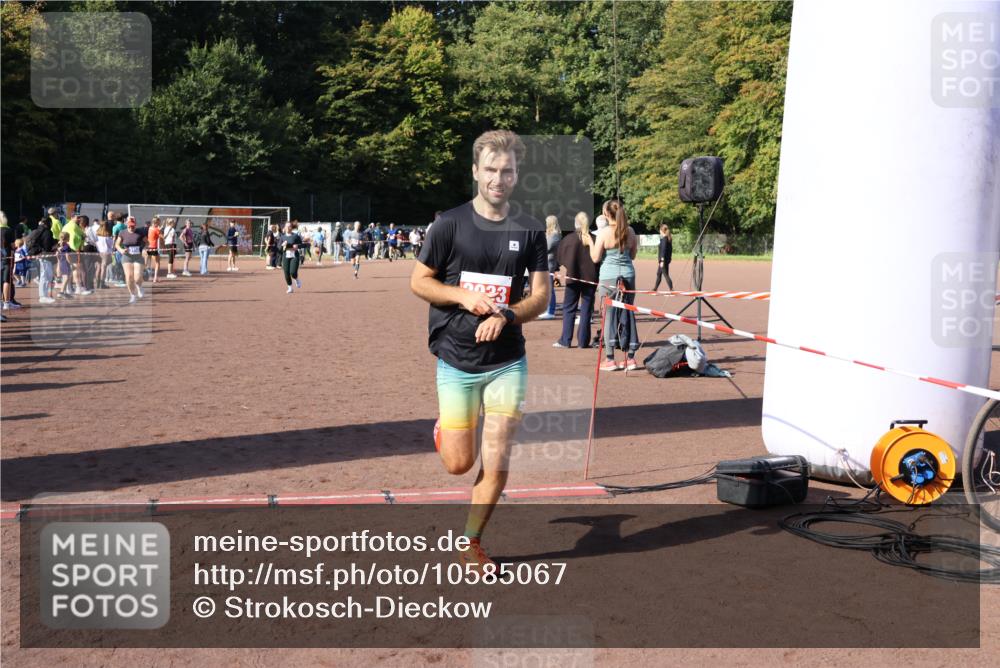 27.09.2026 - 35. Volkslauf durch das schöne Alstertal Strokosch-Dieckow http://msf.ph/oto/10585067 27.09.2026 11:49:53 Ziel 2033, 2422, 3156, 3223, 3238 meine-sportfotos.de