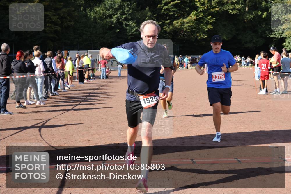 27.09.2026 - 35. Volkslauf durch das schöne Alstertal Strokosch-Dieckow http://msf.ph/oto/10585803 27.09.2026 11:55:50 Ziel 1517, 1525, 1559, 2335, 2379 meine-sportfotos.de