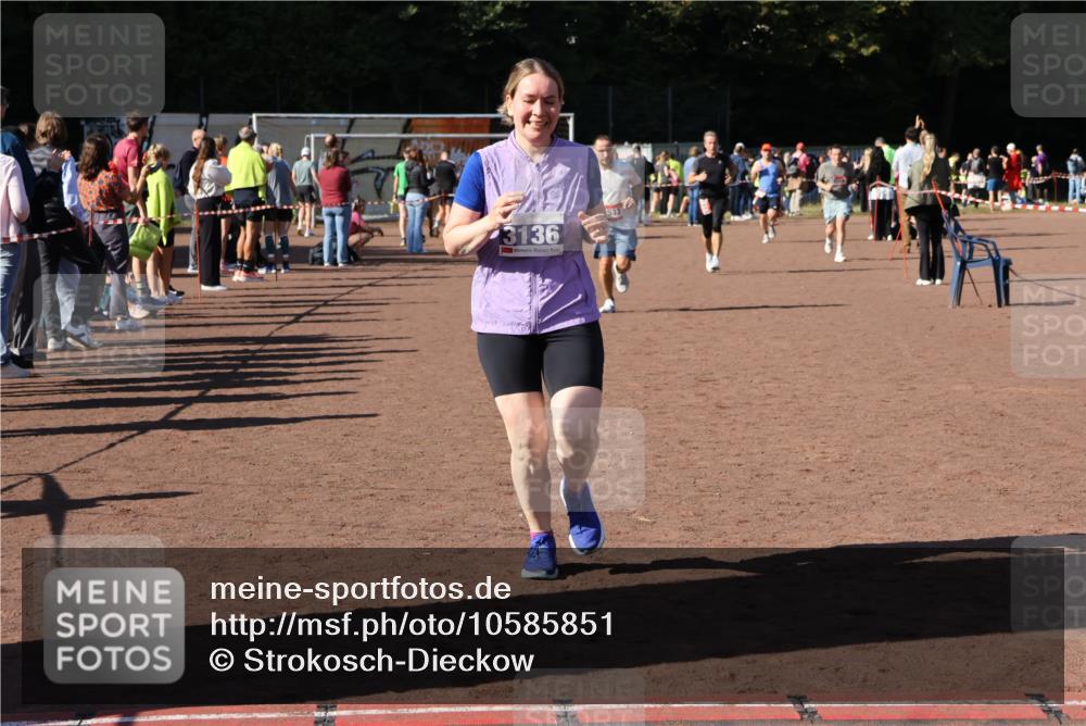 27.09.2026 - 35. Volkslauf durch das schöne Alstertal Strokosch-Dieckow http://msf.ph/oto/10585851 27.09.2026 11:55:36 Ziel 1513, 1533, 3136 meine-sportfotos.de