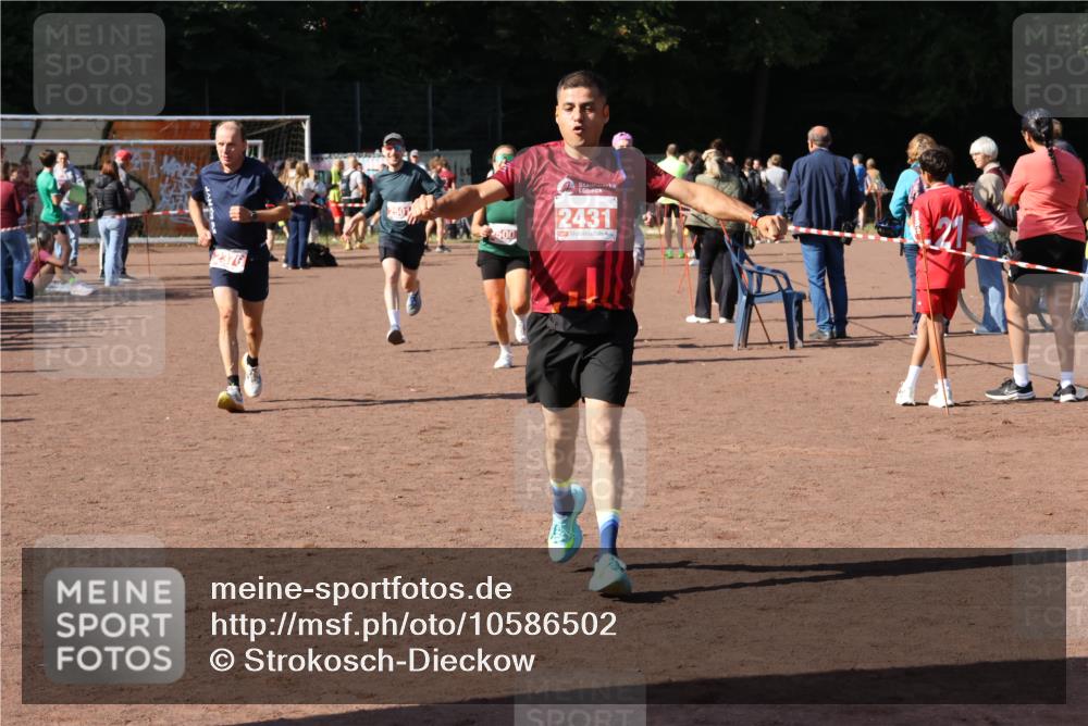 27.09.2026 - 35. Volkslauf durch das schöne Alstertal Strokosch-Dieckow http://msf.ph/oto/10586502 27.09.2026 12:10:00 Ziel 2367, 2376, 2431, 2500, 2501 meine-sportfotos.de