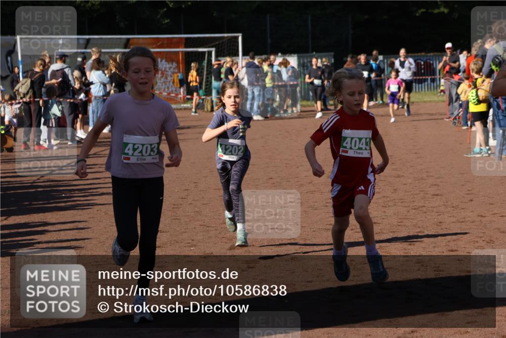 27.09.2026 - 35. Volkslauf durch das schöne Alstertal Strokosch-Dieckow http://msf.ph/oto/10586838 27.09.2026 10:59:30 Ziel 4043, 4047, 4049, 4111, 4202, 4203 meine-sportfotos.de