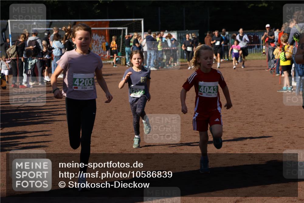 27.09.2026 - 35. Volkslauf durch das schöne Alstertal Strokosch-Dieckow http://msf.ph/oto/10586839 27.09.2026 10:59:30 Ziel 4043, 4047, 4049, 4111, 4202, 4203 meine-sportfotos.de