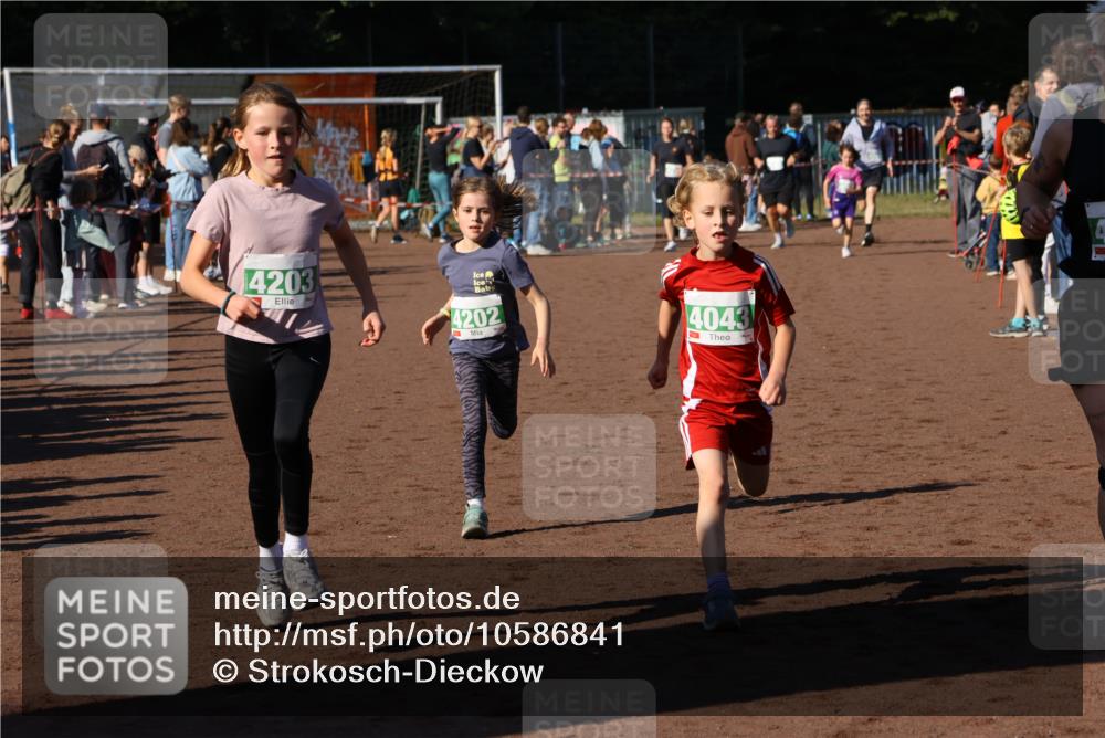 27.09.2026 - 35. Volkslauf durch das schöne Alstertal Strokosch-Dieckow http://msf.ph/oto/10586841 27.09.2026 10:59:30 Ziel 4043, 4047, 4049, 4111, 4202, 4203 meine-sportfotos.de