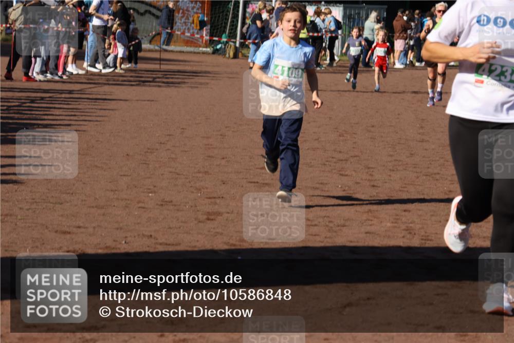 27.09.2026 - 35. Volkslauf durch das schöne Alstertal Strokosch-Dieckow http://msf.ph/oto/10586848 27.09.2026 10:59:23 Ziel 4043, 4109, 4111, 4185, 4202, 4203, 4234 meine-sportfotos.de