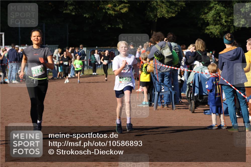 27.09.2026 - 35. Volkslauf durch das schöne Alstertal Strokosch-Dieckow http://msf.ph/oto/10586893 27.09.2026 10:58:13 Ziel 4031, 4067, 4087, 4121, 4239, 4242 meine-sportfotos.de