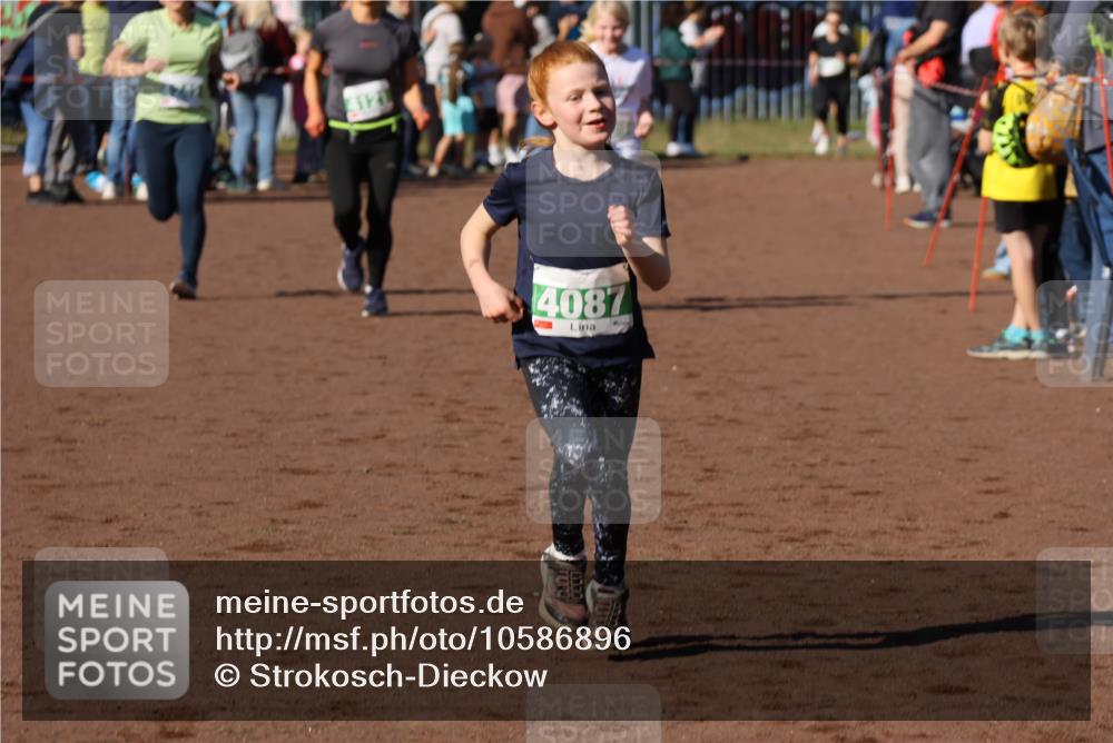27.09.2026 - 35. Volkslauf durch das schöne Alstertal Strokosch-Dieckow http://msf.ph/oto/10586896 27.09.2026 10:58:08 Ziel 4087, 4121, 4239, 4242 meine-sportfotos.de