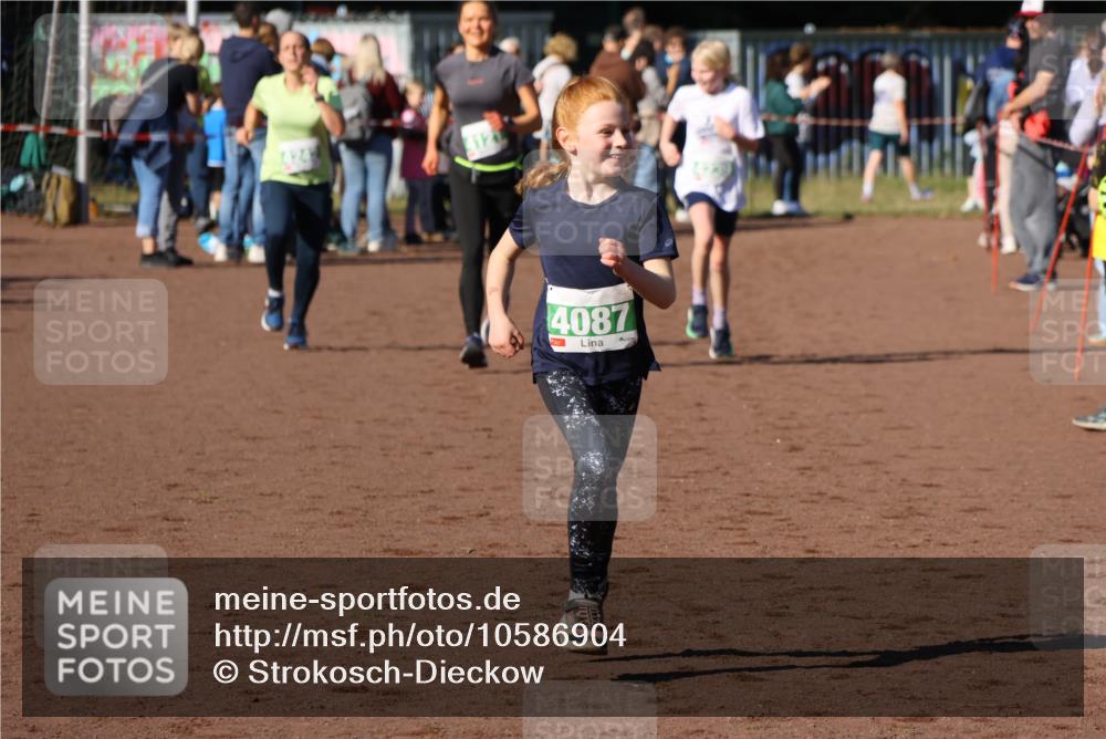 27.09.2026 - 35. Volkslauf durch das schöne Alstertal Strokosch-Dieckow http://msf.ph/oto/10586904 27.09.2026 10:58:08 Ziel 4087, 4121, 4239, 4242 meine-sportfotos.de