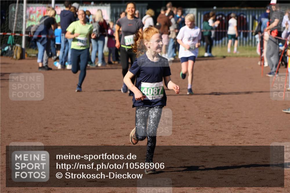 27.09.2026 - 35. Volkslauf durch das schöne Alstertal Strokosch-Dieckow http://msf.ph/oto/10586906 27.09.2026 10:58:08 Ziel 4087, 4121, 4239, 4242 meine-sportfotos.de