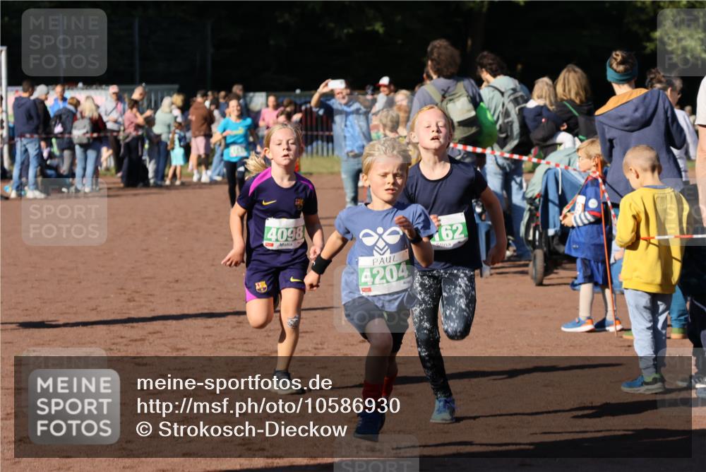 27.09.2026 - 35. Volkslauf durch das schöne Alstertal Strokosch-Dieckow http://msf.ph/oto/10586930 27.09.2026 10:57:50 Ziel 4098, 4140, 4141, 4162, 4169, 4204, 4221 meine-sportfotos.de