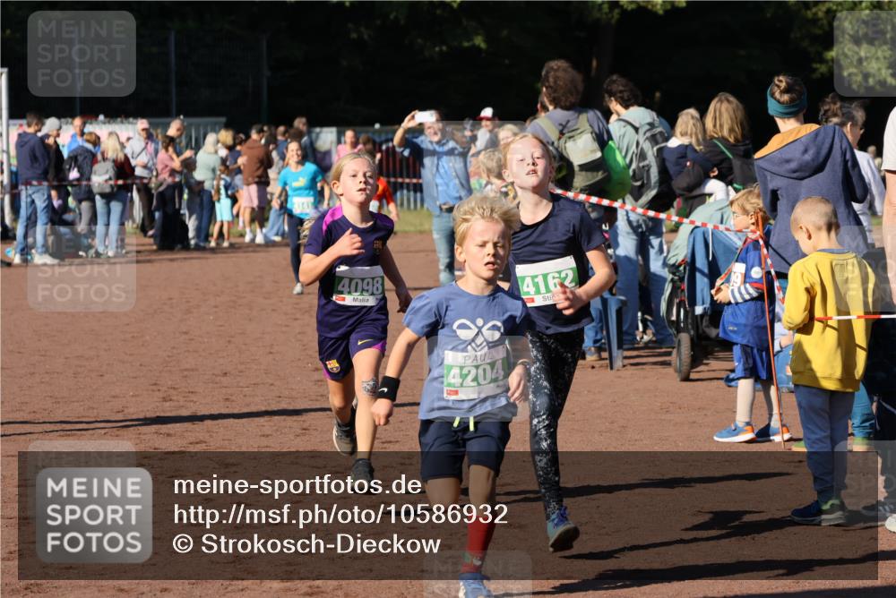 27.09.2026 - 35. Volkslauf durch das schöne Alstertal Strokosch-Dieckow http://msf.ph/oto/10586932 27.09.2026 10:57:50 Ziel 4098, 4140, 4141, 4162, 4169, 4204, 4221 meine-sportfotos.de