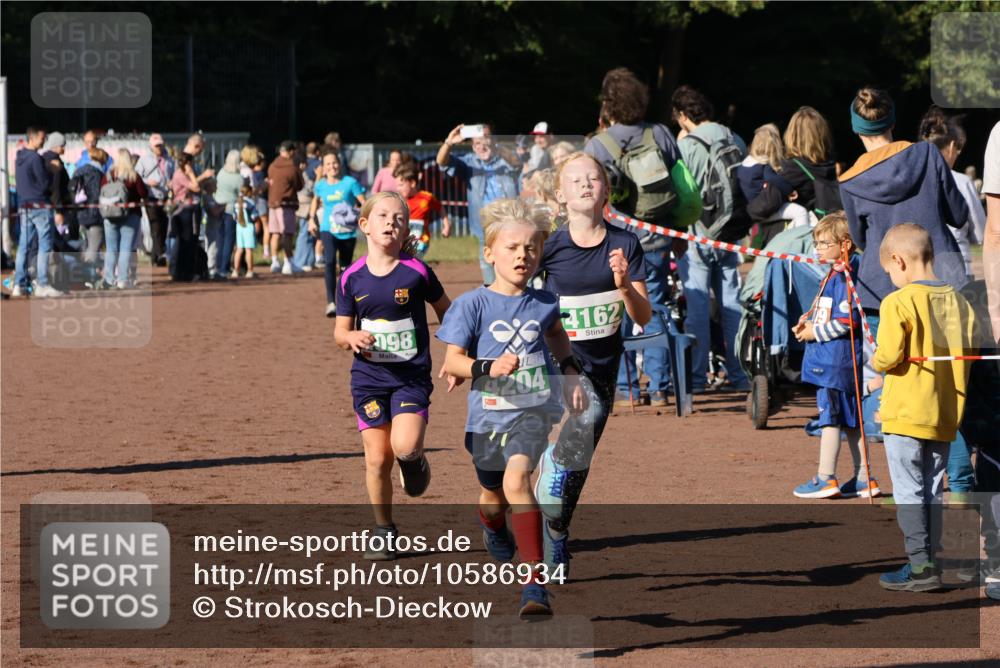 27.09.2026 - 35. Volkslauf durch das schöne Alstertal Strokosch-Dieckow http://msf.ph/oto/10586934 27.09.2026 10:57:50 Ziel 4098, 4140, 4141, 4162, 4169, 4204, 4221 meine-sportfotos.de