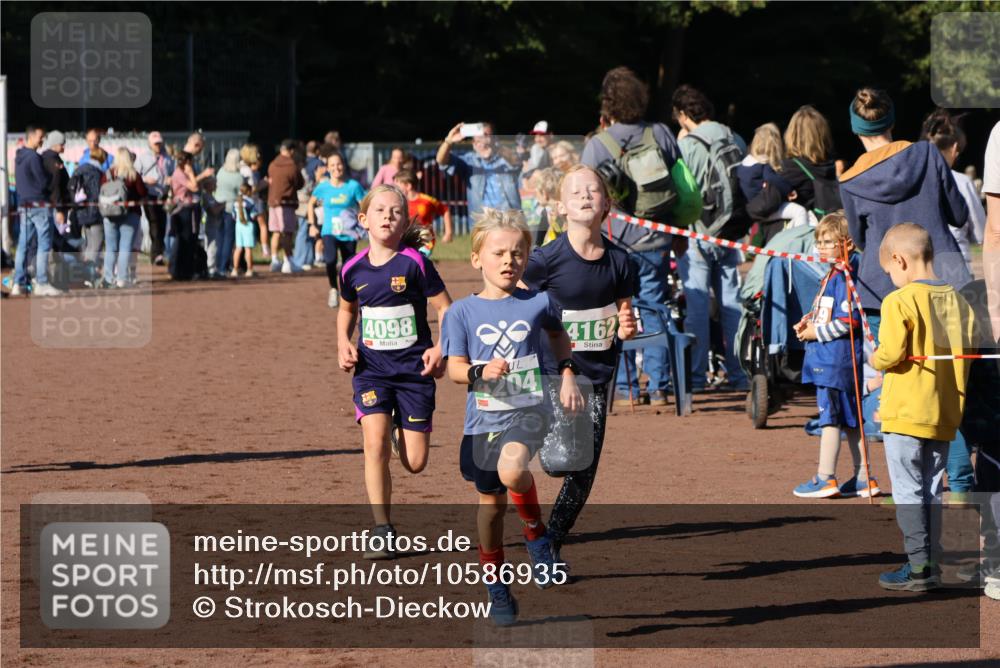 27.09.2026 - 35. Volkslauf durch das schöne Alstertal Strokosch-Dieckow http://msf.ph/oto/10586935 27.09.2026 10:57:50 Ziel 4098, 4140, 4141, 4162, 4169, 4204, 4221 meine-sportfotos.de