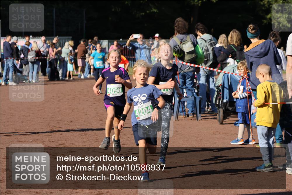 27.09.2026 - 35. Volkslauf durch das schöne Alstertal Strokosch-Dieckow http://msf.ph/oto/10586937 27.09.2026 10:57:50 Ziel 4098, 4140, 4141, 4162, 4169, 4204, 4221 meine-sportfotos.de