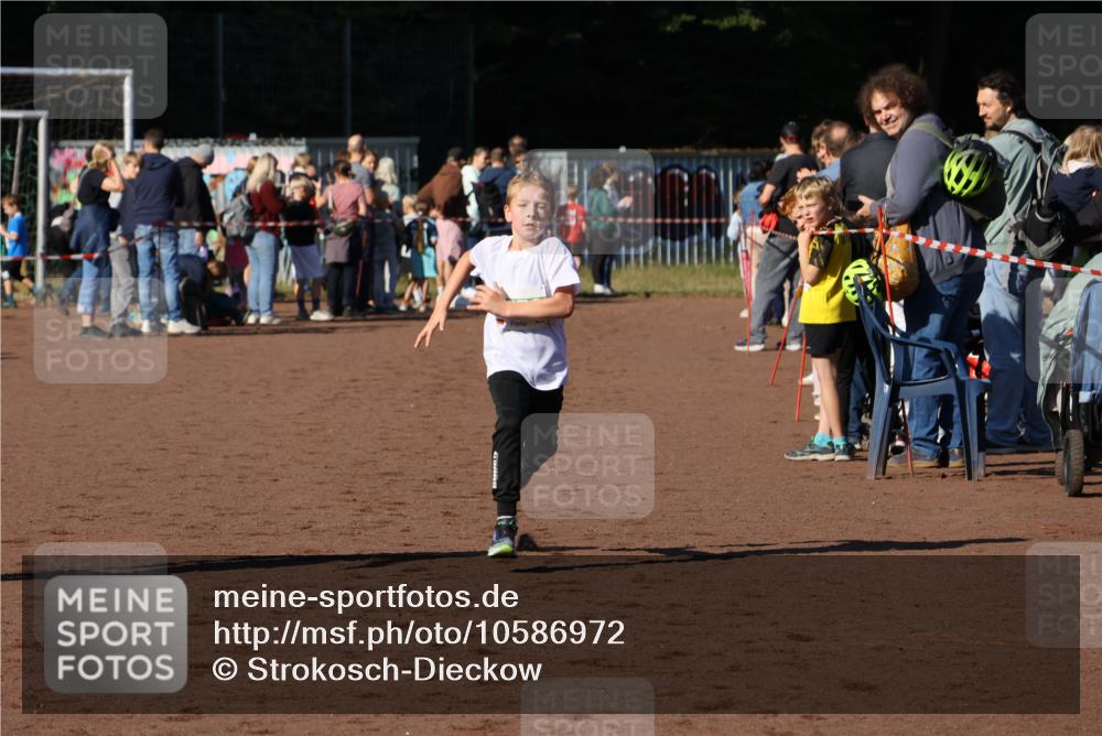27.09.2026 - 35. Volkslauf durch das schöne Alstertal Strokosch-Dieckow http://msf.ph/oto/10586972 27.09.2026 10:57:11 Ziel 4059, 4094, 4177 meine-sportfotos.de
