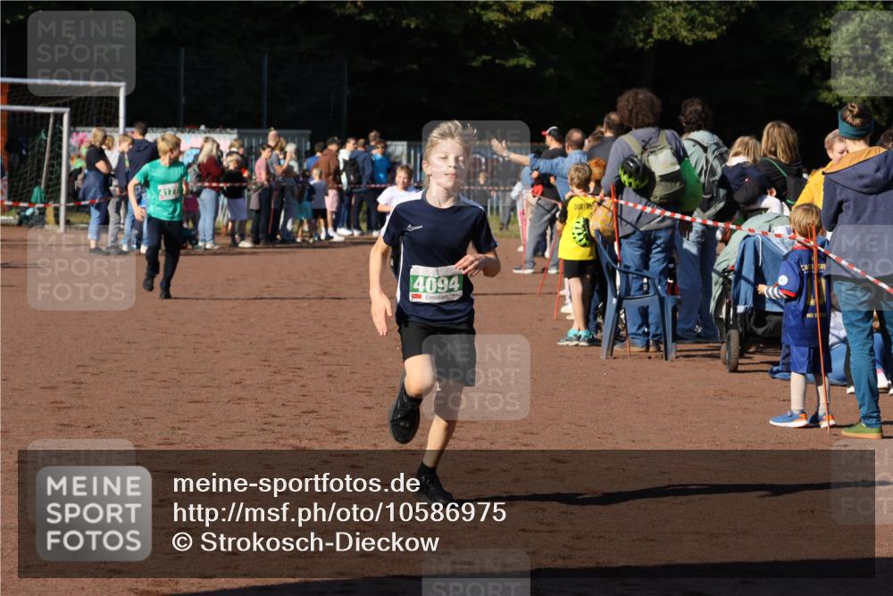 27.09.2026 - 35. Volkslauf durch das schöne Alstertal Strokosch-Dieckow http://msf.ph/oto/10586975 27.09.2026 10:57:07 Ziel 4059, 4065, 4094, 4177 meine-sportfotos.de