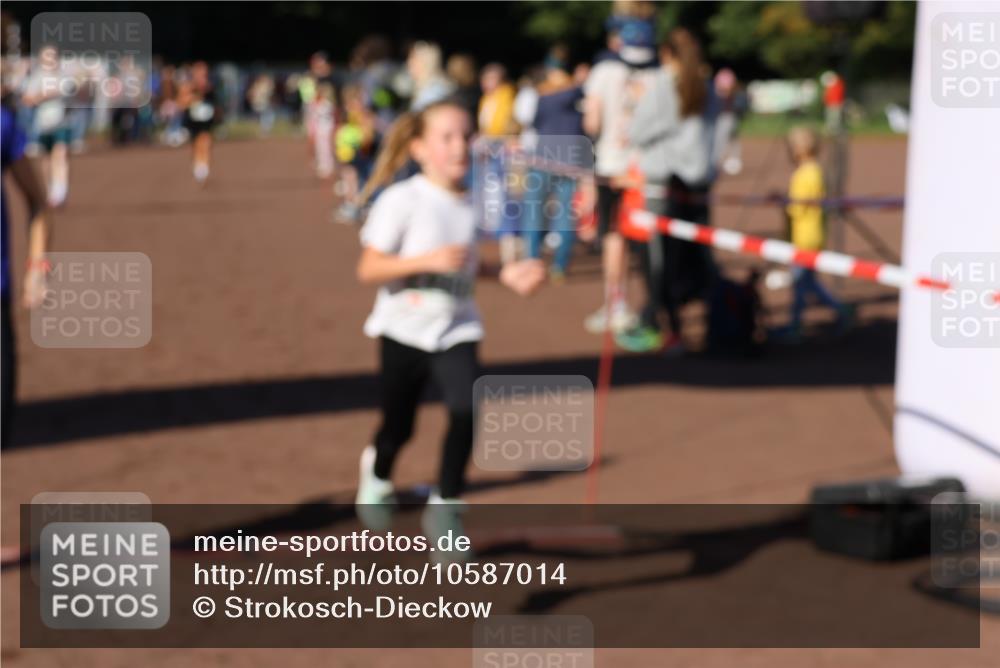 27.09.2026 - 35. Volkslauf durch das schöne Alstertal Strokosch-Dieckow http://msf.ph/oto/10587014 27.09.2026 10:56:10 Ziel 4142, 4144, 4148, 4207 meine-sportfotos.de