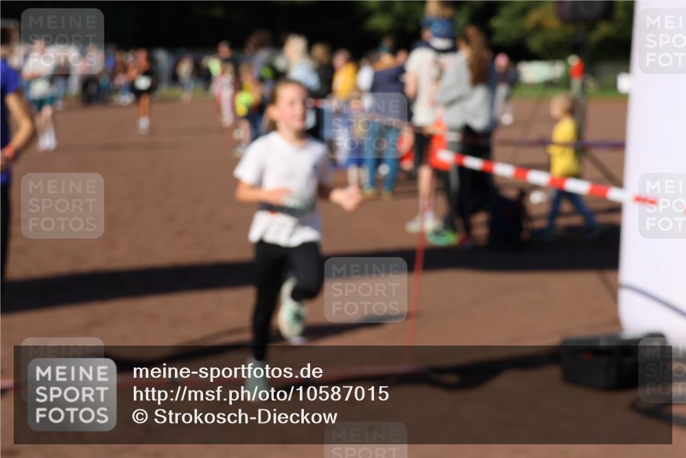 27.09.2026 - 35. Volkslauf durch das schöne Alstertal Strokosch-Dieckow http://msf.ph/oto/10587015 27.09.2026 10:56:10 Ziel 4142, 4144, 4148, 4207 meine-sportfotos.de