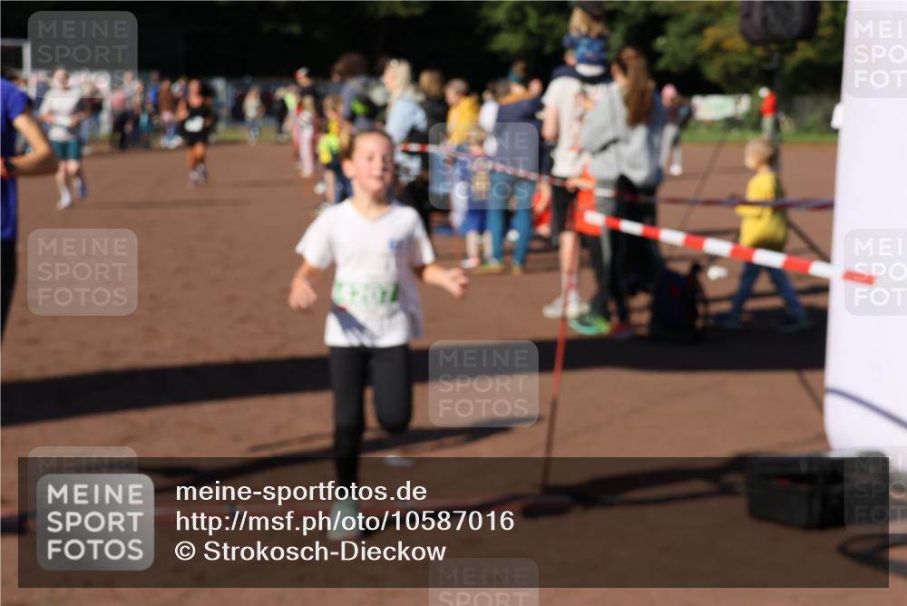 27.09.2026 - 35. Volkslauf durch das schöne Alstertal Strokosch-Dieckow http://msf.ph/oto/10587016 27.09.2026 10:56:09 Ziel 4142, 4144, 4148, 4207 meine-sportfotos.de