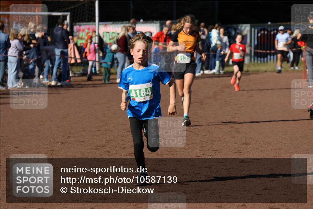 27.09.2026 - 35. Volkslauf durch das schöne Alstertal Strokosch-Dieckow http://msf.ph/oto/10587139 27.09.2026 10:54:11 Ziel 4007, 4139, 4164, 4243 meine-sportfotos.de
