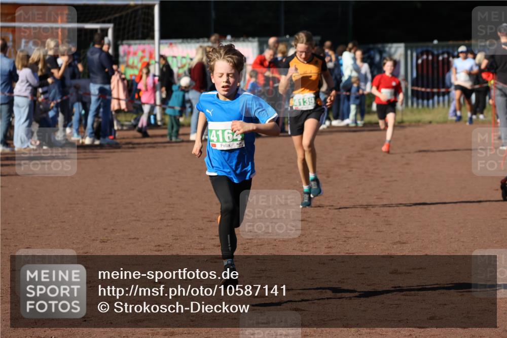 27.09.2026 - 35. Volkslauf durch das schöne Alstertal Strokosch-Dieckow http://msf.ph/oto/10587141 27.09.2026 10:54:11 Ziel 4007, 4139, 4164, 4243 meine-sportfotos.de