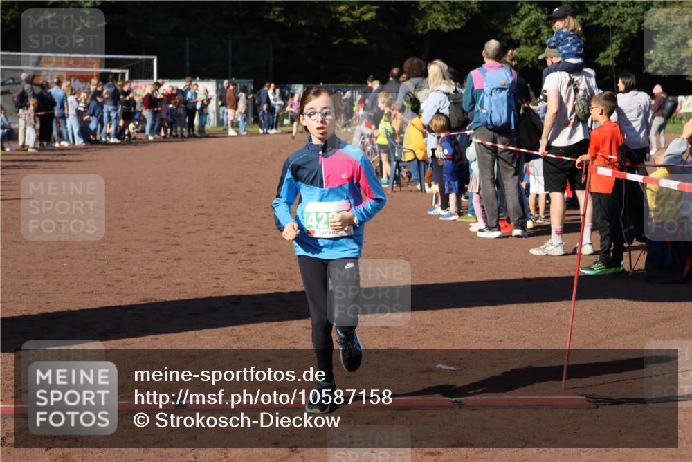 27.09.2026 - 35. Volkslauf durch das schöne Alstertal Strokosch-Dieckow http://msf.ph/oto/10587158 27.09.2026 10:53:40 Ziel 4006, 4025, 4228 meine-sportfotos.de