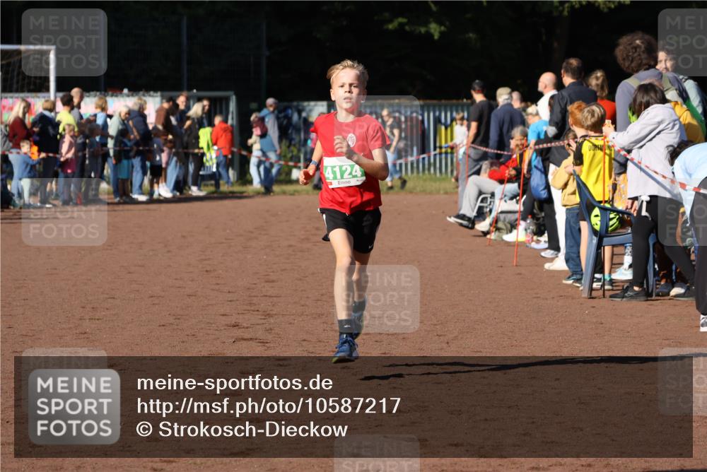 27.09.2026 - 35. Volkslauf durch das schöne Alstertal Strokosch-Dieckow http://msf.ph/oto/10587217 27.09.2026 10:52:10 Ziel 4082, 4124 meine-sportfotos.de