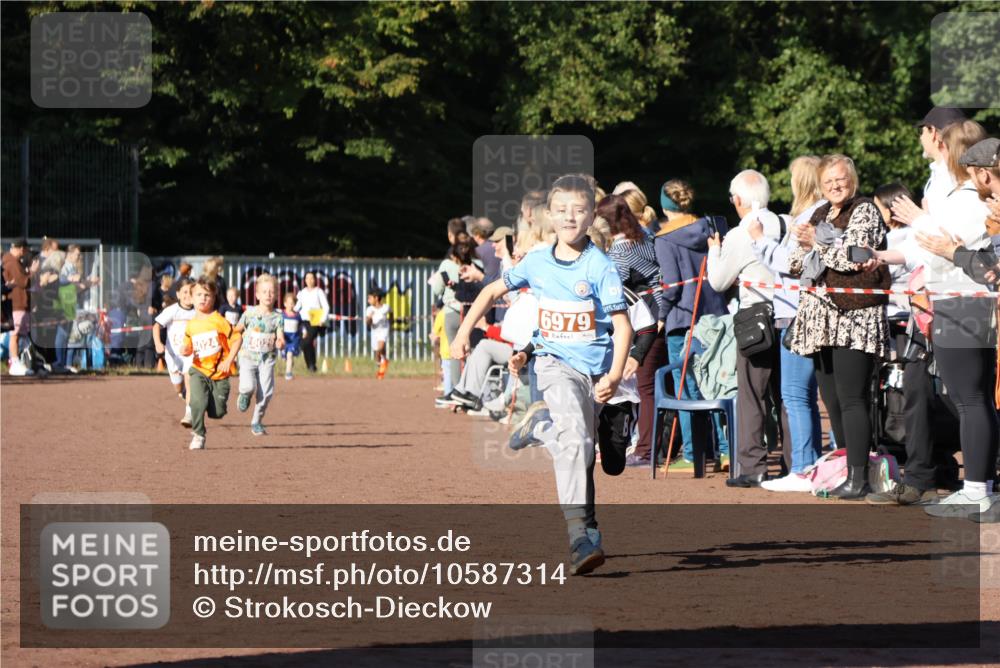27.09.2026 - 35. Volkslauf durch das schöne Alstertal Strokosch-Dieckow http://msf.ph/oto/10587314 27.09.2026 10:42:17 Ziel 6024, 6029, 6979 meine-sportfotos.de