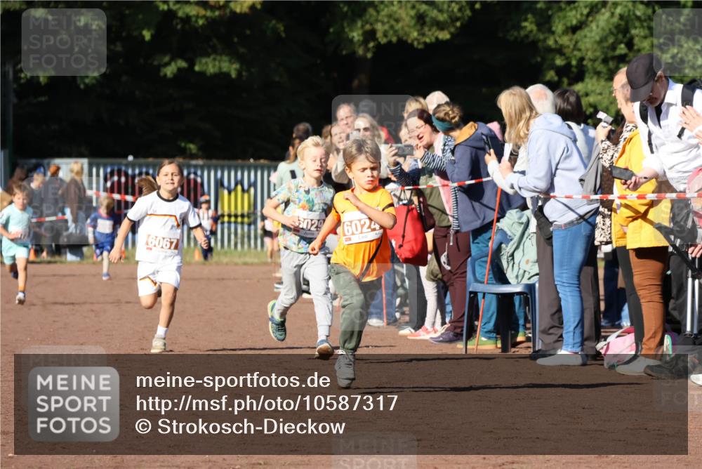 27.09.2026 - 35. Volkslauf durch das schöne Alstertal Strokosch-Dieckow http://msf.ph/oto/10587317 27.09.2026 10:42:21 Ziel 6067, 5029, 6024 meine-sportfotos.de