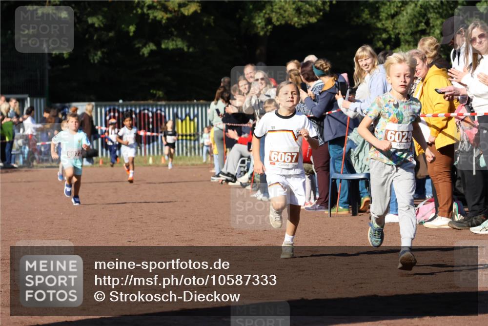 27.09.2026 - 35. Volkslauf durch das schöne Alstertal Strokosch-Dieckow http://msf.ph/oto/10587333 27.09.2026 10:42:23 Ziel 6972, 6067, 1602 meine-sportfotos.de