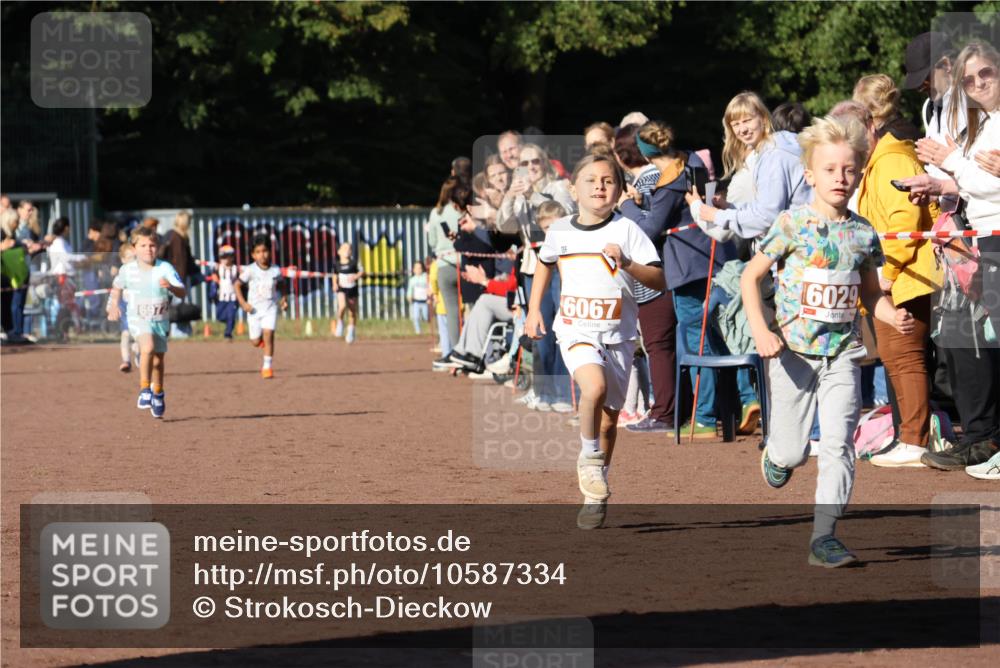 27.09.2026 - 35. Volkslauf durch das schöne Alstertal Strokosch-Dieckow http://msf.ph/oto/10587334 27.09.2026 10:42:23 Ziel 6972, 6067, 6029 meine-sportfotos.de