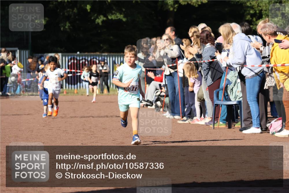 27.09.2026 - 35. Volkslauf durch das schöne Alstertal Strokosch-Dieckow http://msf.ph/oto/10587336 27.09.2026 10:42:27 Ziel 6972 meine-sportfotos.de