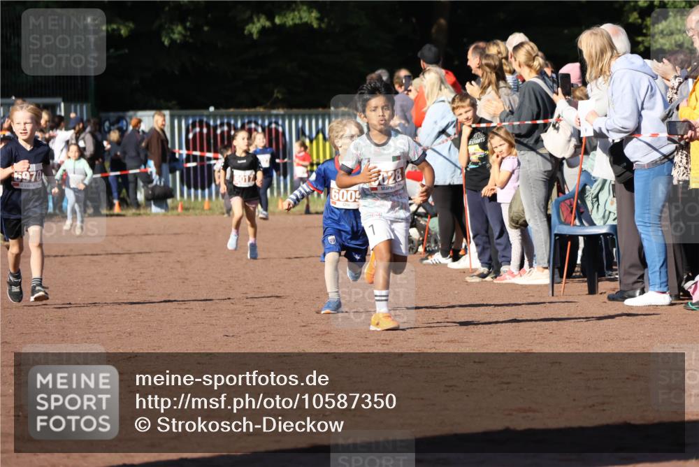 27.09.2026 - 35. Volkslauf durch das schöne Alstertal Strokosch-Dieckow http://msf.ph/oto/10587350 27.09.2026 10:42:31 Ziel 5970, 6009, 028, 100, 1 meine-sportfotos.de