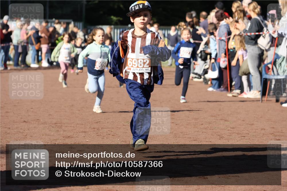 27.09.2026 - 35. Volkslauf durch das schöne Alstertal Strokosch-Dieckow http://msf.ph/oto/10587366 27.09.2026 10:42:42 Ziel 6982 meine-sportfotos.de