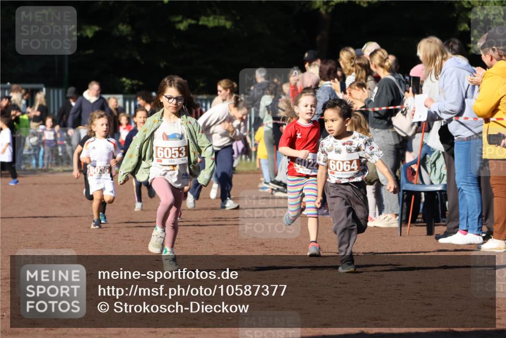 27.09.2026 - 35. Volkslauf durch das schöne Alstertal Strokosch-Dieckow http://msf.ph/oto/10587377 27.09.2026 10:42:48 Ziel 6036, 6053, 6022, 6064 meine-sportfotos.de