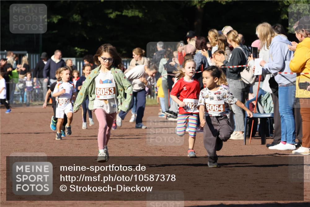 27.09.2026 - 35. Volkslauf durch das schöne Alstertal Strokosch-Dieckow http://msf.ph/oto/10587378 27.09.2026 10:42:48 Ziel 6036, 6053, 6022, 6064 meine-sportfotos.de