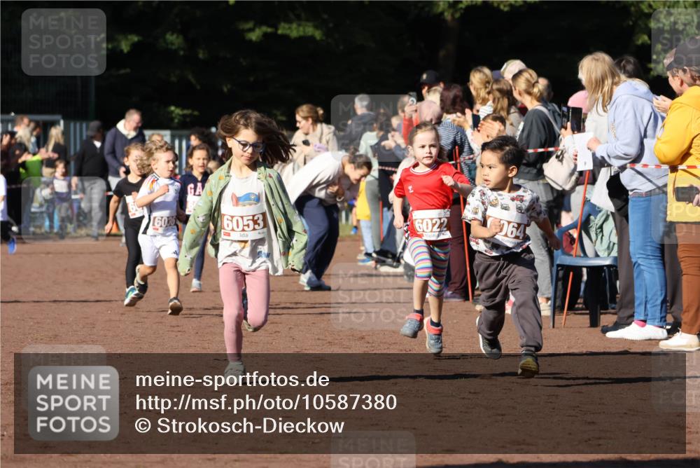 27.09.2026 - 35. Volkslauf durch das schöne Alstertal Strokosch-Dieckow http://msf.ph/oto/10587380 27.09.2026 10:42:48 Ziel 6036, 6053, 6022, 064 meine-sportfotos.de