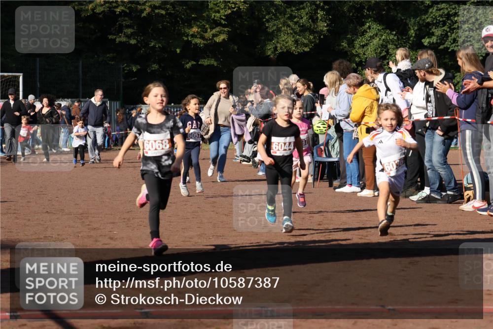 27.09.2026 - 35. Volkslauf durch das schöne Alstertal Strokosch-Dieckow http://msf.ph/oto/10587387 27.09.2026 10:42:53 Ziel 048, 6068, 6057, 6044, 97, 6036 meine-sportfotos.de