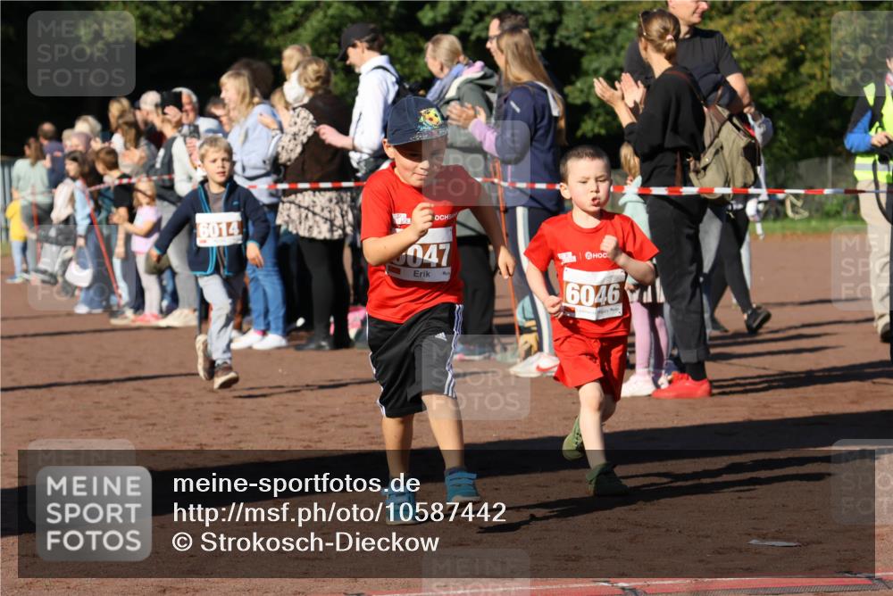 27.09.2026 - 35. Volkslauf durch das schöne Alstertal Strokosch-Dieckow http://msf.ph/oto/10587442 27.09.2026 10:43:30 Ziel 6014, 047, 6046, 70 meine-sportfotos.de