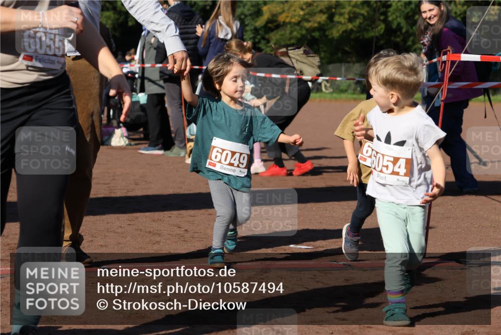 27.09.2026 - 35. Volkslauf durch das schöne Alstertal Strokosch-Dieckow http://msf.ph/oto/10587494 27.09.2026 10:44:11 Ziel 6055, 6049, 65054 meine-sportfotos.de