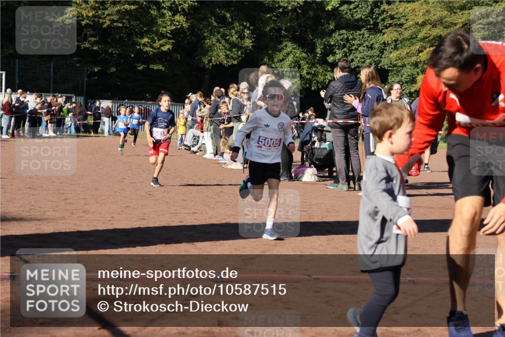27.09.2026 - 35. Volkslauf durch das schöne Alstertal Strokosch-Dieckow http://msf.ph/oto/10587515 27.09.2026 10:44:35 Ziel 5032, 5005, 5003, 5005, 5032 meine-sportfotos.de