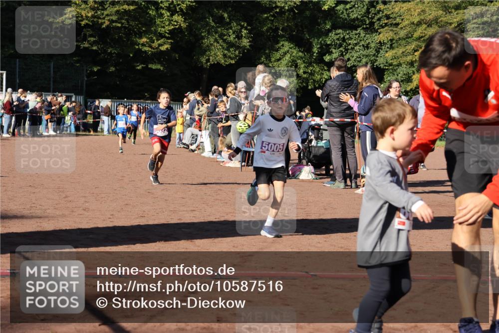 27.09.2026 - 35. Volkslauf durch das schöne Alstertal Strokosch-Dieckow http://msf.ph/oto/10587516 27.09.2026 10:44:35 Ziel 5032, 5005, 5003, 5005, 5032 meine-sportfotos.de