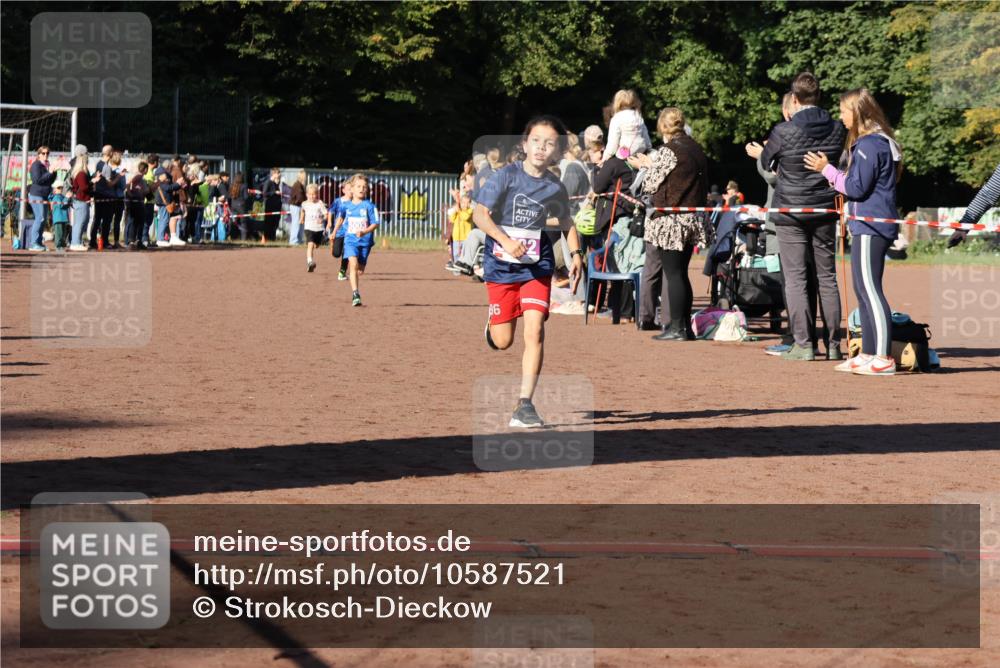 27.09.2026 - 35. Volkslauf durch das schöne Alstertal Strokosch-Dieckow http://msf.ph/oto/10587521 27.09.2026 10:44:37 Ziel 96, 5003, 5005, 5032, 5036, 5043 meine-sportfotos.de