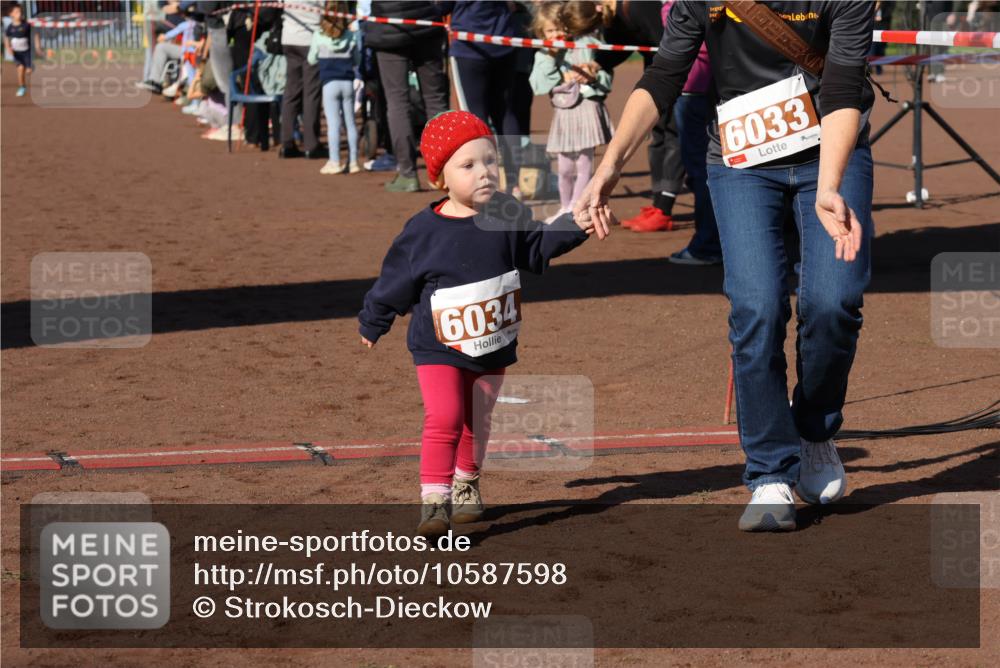 27.09.2026 - 35. Volkslauf durch das schöne Alstertal Strokosch-Dieckow http://msf.ph/oto/10587598 27.09.2026 10:45:36 Ziel 6034, 6033, 5030, 5060 meine-sportfotos.de