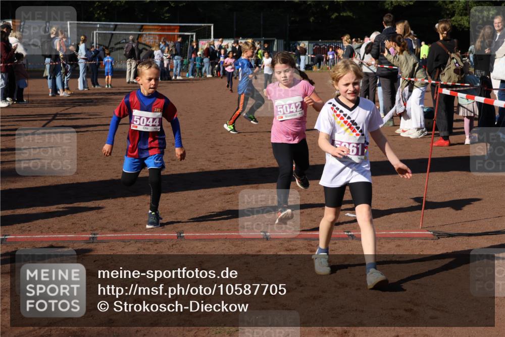 27.09.2026 - 35. Volkslauf durch das schöne Alstertal Strokosch-Dieckow http://msf.ph/oto/10587705 27.09.2026 10:46:49 Ziel 5044, 5042, 5361, 5033, 5042, 5044, 5052, 5061 meine-sportfotos.de